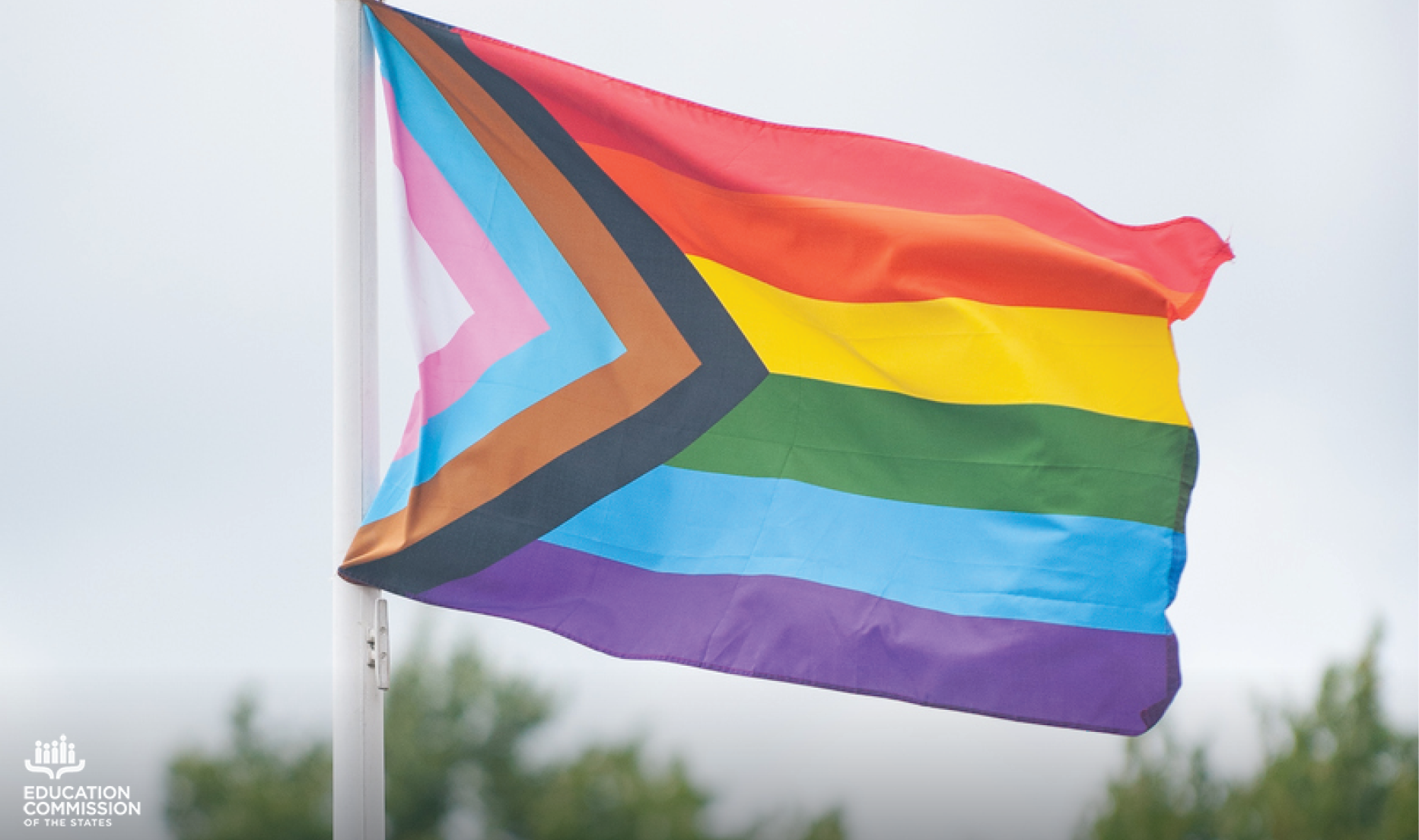 This picture features the multicolored Progress Pride Flag moving in the wind, attached to a white pole. The blurred background is a gray sky with green treetops peaking up from the bottom of the picture.
